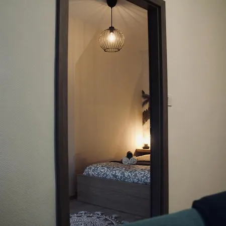 New Le Cocon Des Humanistes Appartement Sélestat