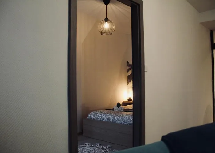 New Le Cocon Des Humanistes Appartement Sélestat